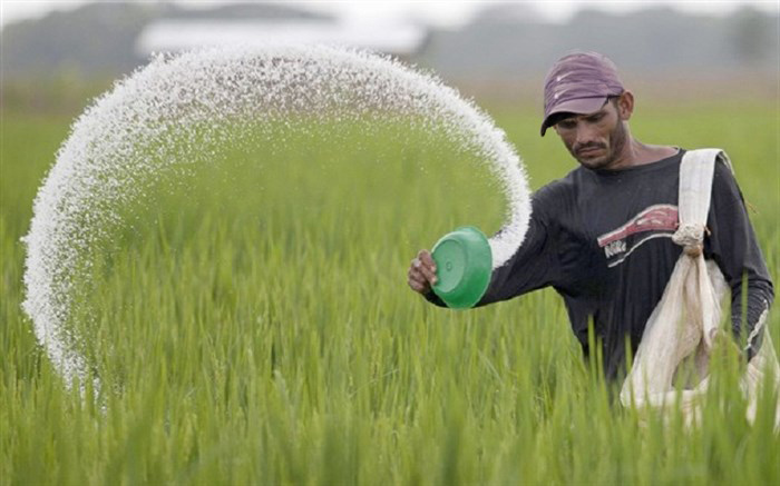 تعاون روستایی انواع نهاده‌های کشاورزی را در اختیار کشاورزان قرار می دهد