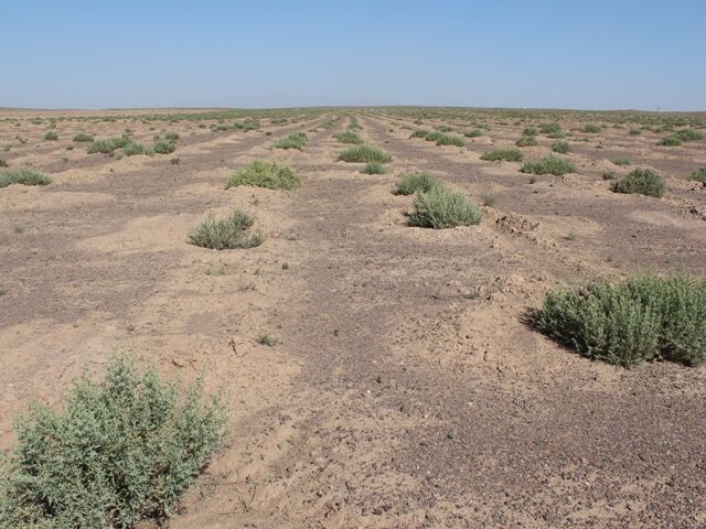 مراتع گلستان بیابان نمیشود مراتع گلستان بیابان نمیشود