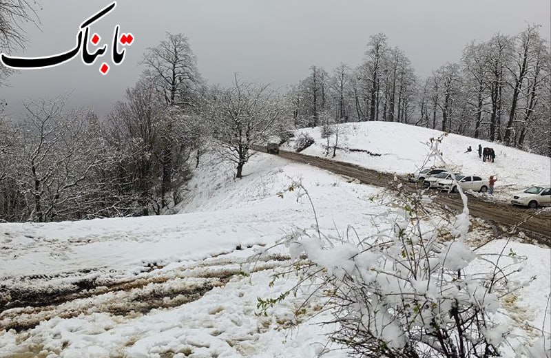 موج جدید بارش، سرما و یخبندان در راه لرستان موج جدید بارش، سرما و یخبندان در راه لرستان