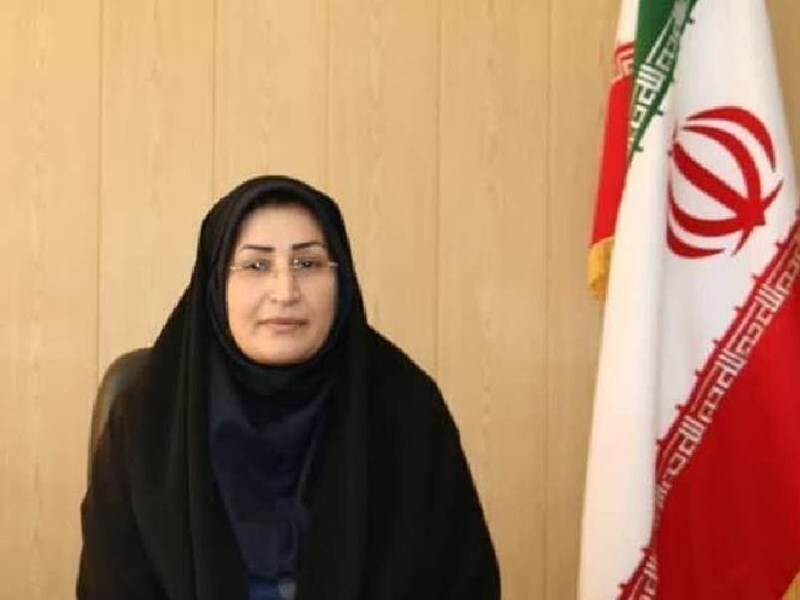 رانش شاهو و احداث جاده جایگزین فوریت دارد/ روانسر پیشرو در ثبت مسکن