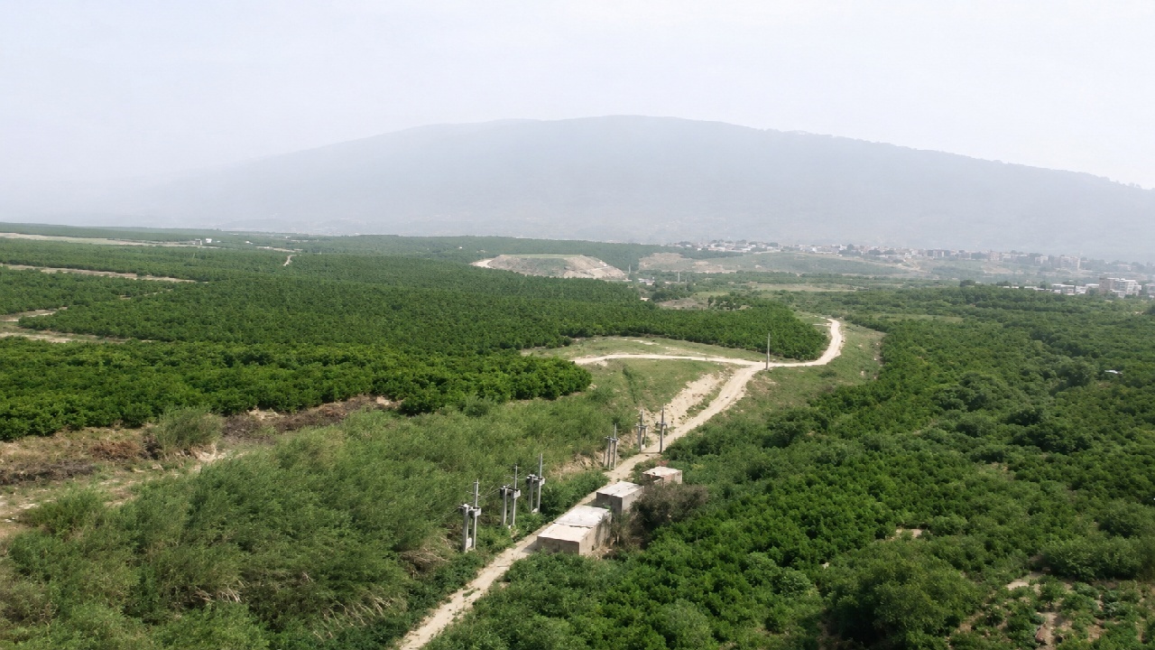 سیاب بهشت خنک کوهدشت؛ جایی میان آب، کوه و انارستان های زیبا سیاب بهشت خنک کوهدشت؛ جایی میان آب، کوه و انارستان های زیبا